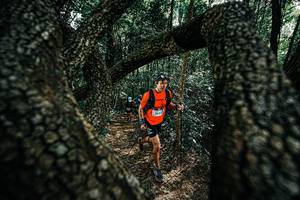 BIB: 
                            <button type="button" onclick="openModal(25392348)" class="btn btn-primary btn-sm float-right btn-popup" data-toggle="modal" data-target=".modal-high-quality">
                        <i class="fas fa-shopping-cart"></i> Add to Cart
                    </button>
                                            <button type="button" onclick="isThisMe(25392348, true)" class="btn btn-success btn-sm float-right btn-popup btn-isme hidden" data-toggle="tooltip" data-placement="bottom" title="นี่คือรูปของคุณใช่ไหม คลิกที่นี่เพื่อเอาเข้าอัลบั้ม">
                        <i class="fas fa-plus"></i> Add to album
                    </button>
                    <button type="button" onclick="isThisMe(25392348, false)" class="btn btn-warning btn-sm float-right btn-popup btn-isnotme hidden">
                        <i class="fas fa-ban"></i> Remove from album
                    </button>